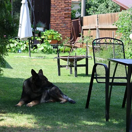 U Strycka Prihody Lejlighed